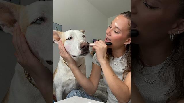 Doing My Dogs Makeup!!😱💄#Dog #Dogshorts #Makeup #Grwm #Doglover #Dogowner #Pets #Petlover #Beauty