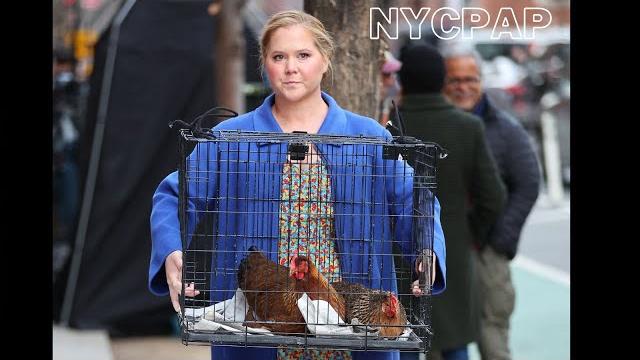 Amy Schumer, Films, Life And Beth With Chickens In New York City